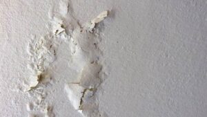Overland Park Water Damage Service Company