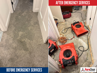 Residential Water Damage Restoration: Why Early Detection Is Critical