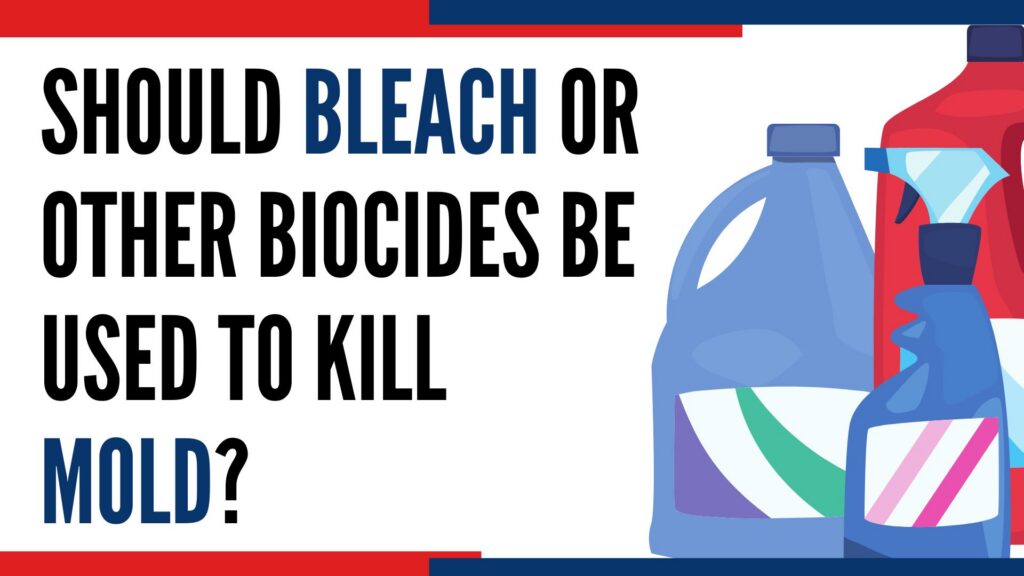 Bleach and mold