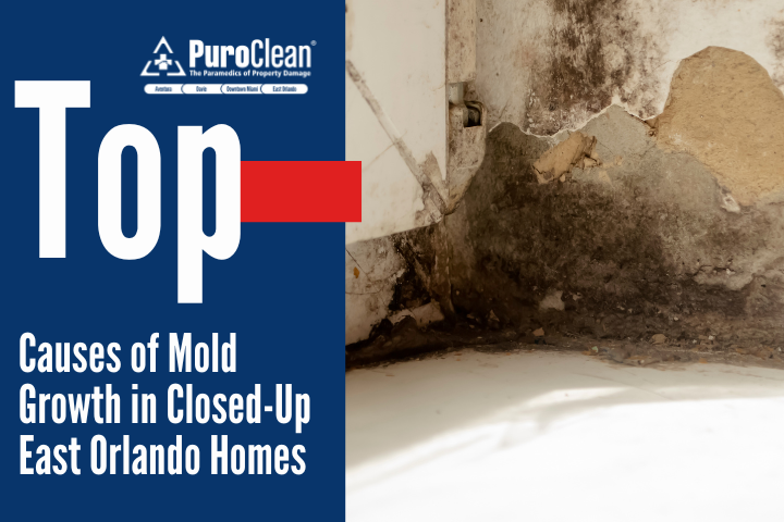 Top Causes of Mold Growth in Closed-Up East Orlando Homes