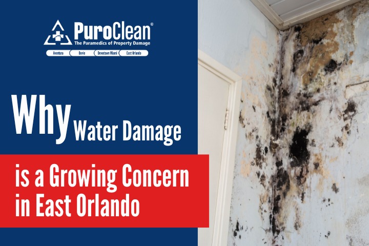 Why Water Damage is a Growing Concern in East Orlando
