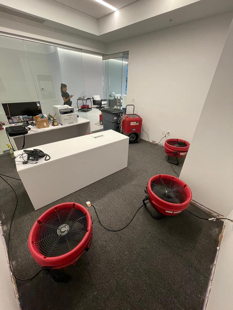 An office space with red industrial fans and a dehumidifier drying the carpeted floor.