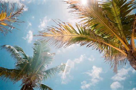 Winter Prepardness for Homeowners & Businesses in Orlando Florida