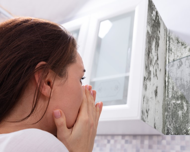 Health Impacts of Mold Exposure