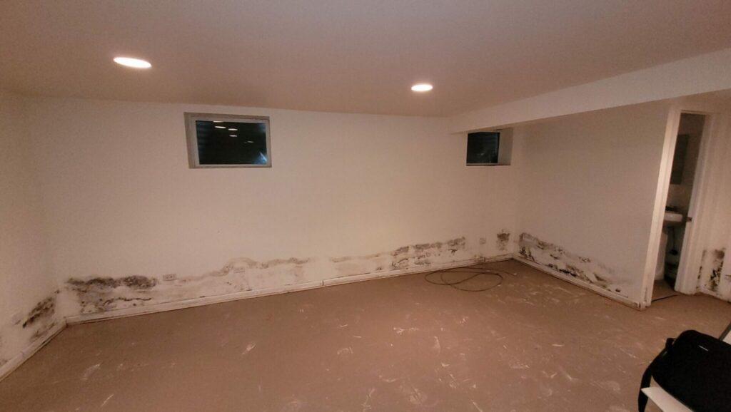 water spreading through residential flooring and walls Florida home