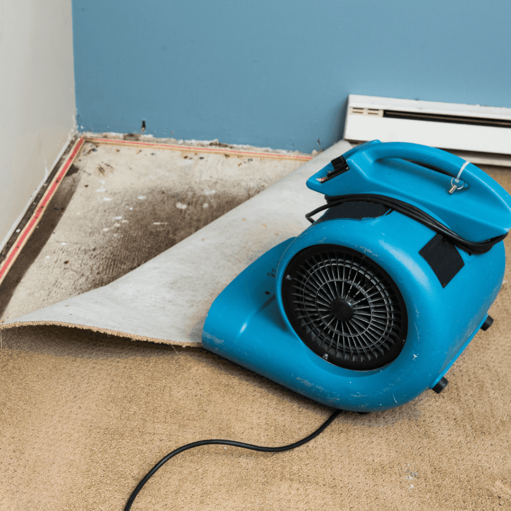 water damage restoration