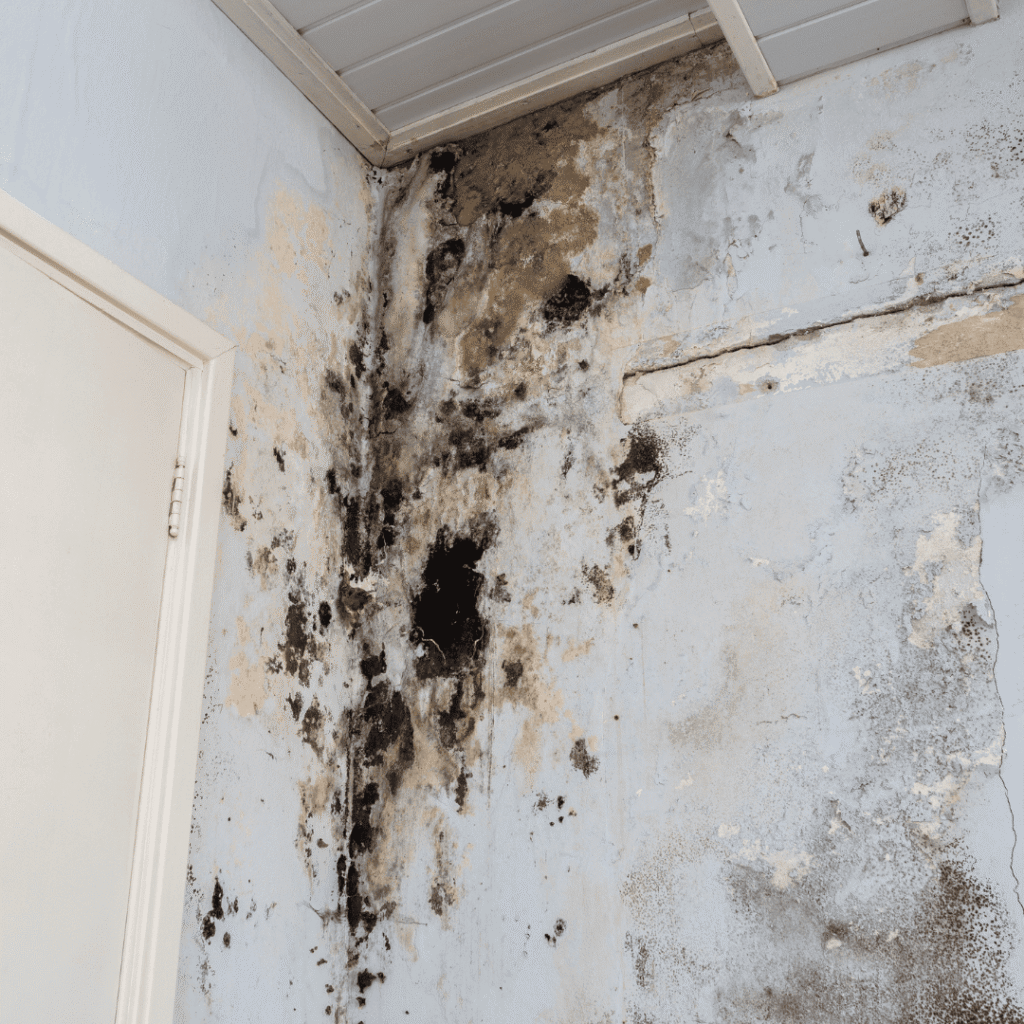 water damage