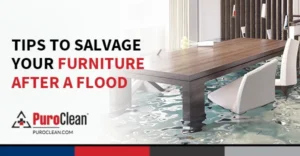 tips to salvage your furniture after a flood