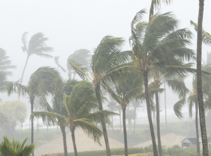 How to Prepare and Protect Your Home from Water Damage This Spring