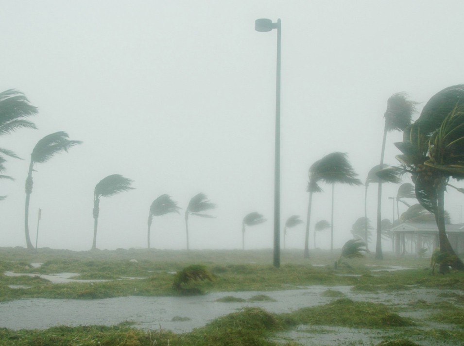 Storm Damage
