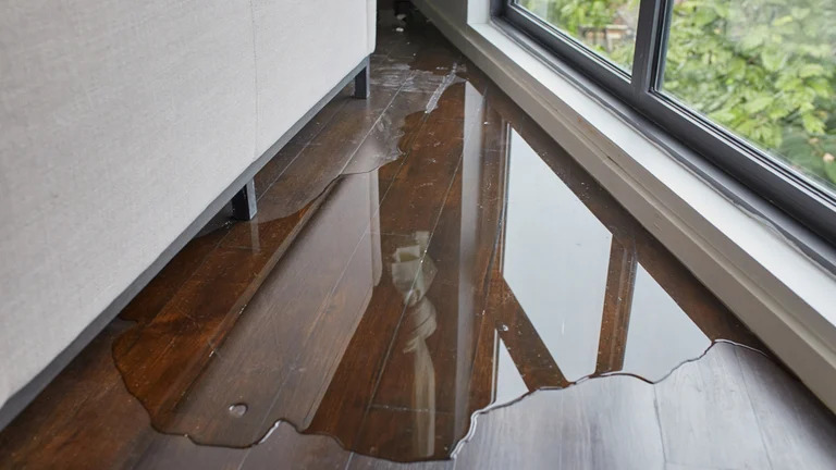 Water pooled across a living room floor in an Ormond Beach home after a sudden leak