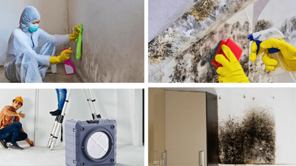 mold removal specialist using an air scrubber and moisture detection tools