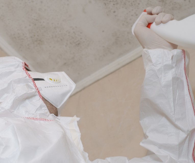 Professional Mold Remediation Techniques
