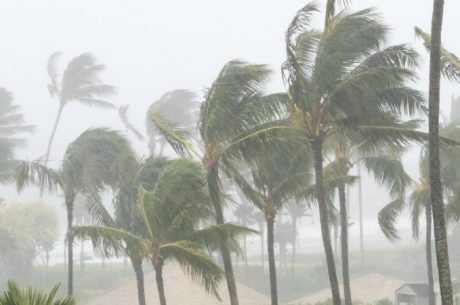 How to Prepare and Protect Your Home from Water Damage This Spring