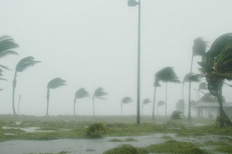 Storm Damage