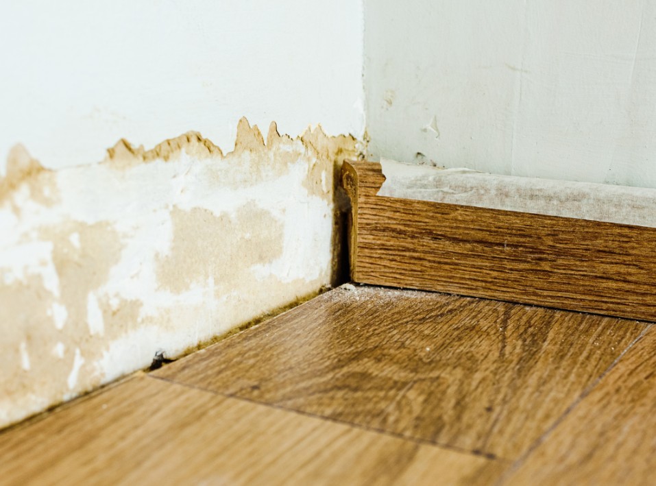 Water Damage Restoration Services