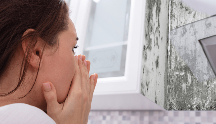 mold