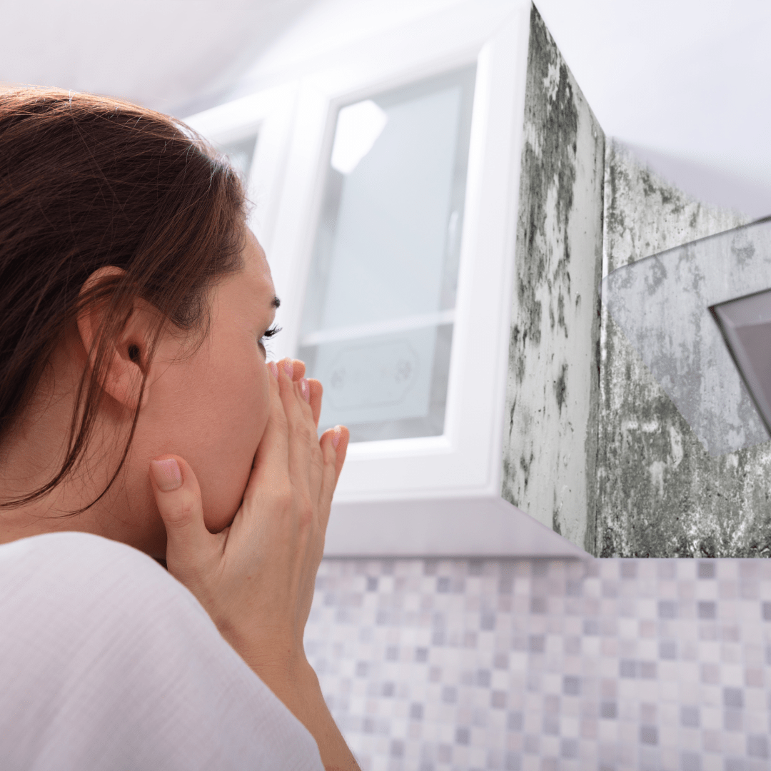 How to Spot the Early Signs of Mold