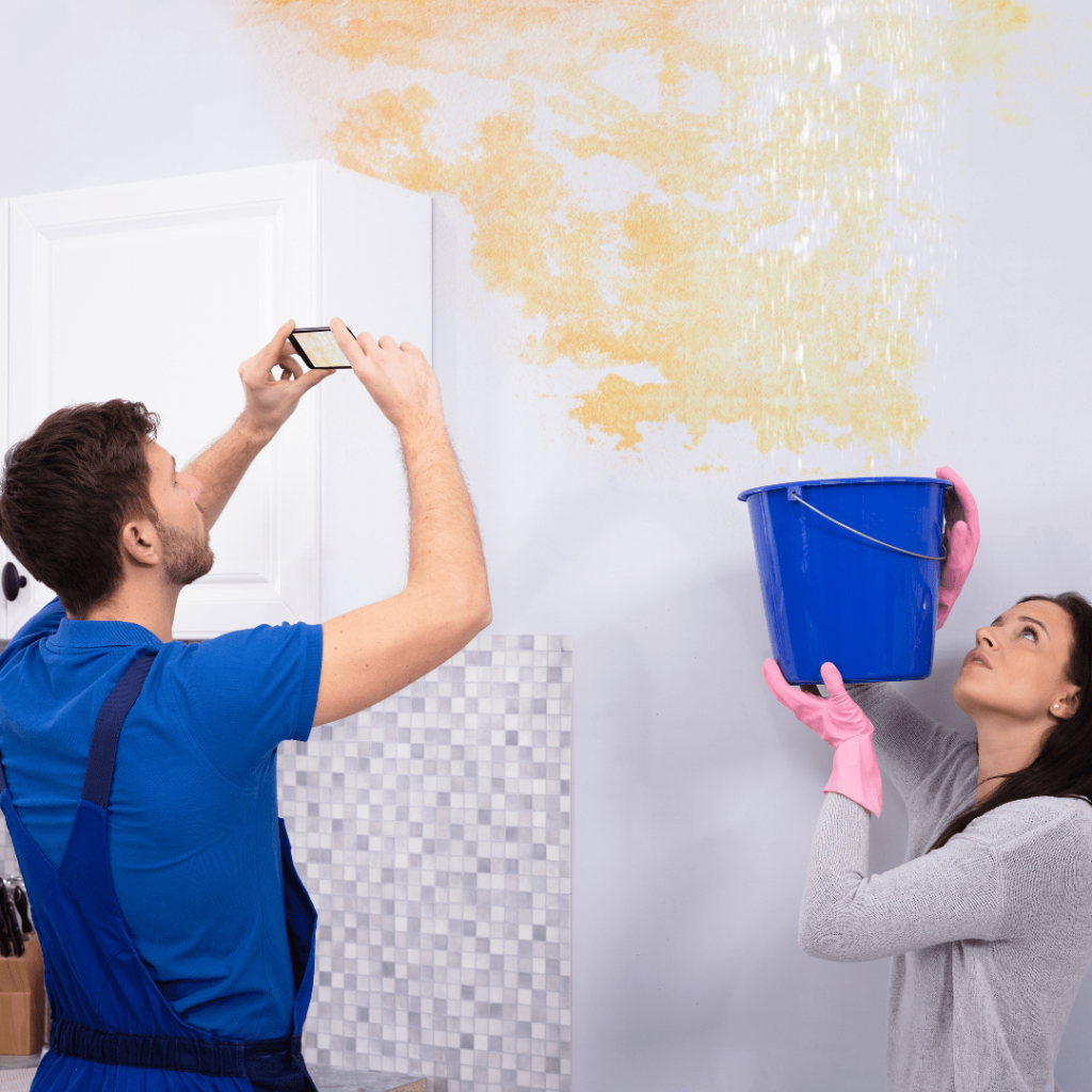 mold after water damage