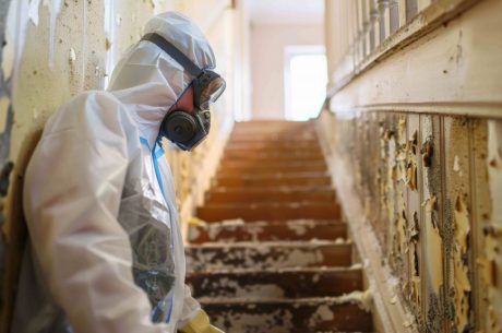 professional mold remediation technicians removing mold inside Florida home