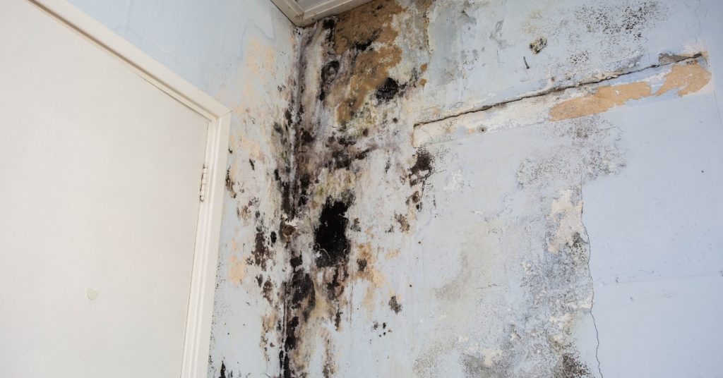 hidden mold behind drywall residential home