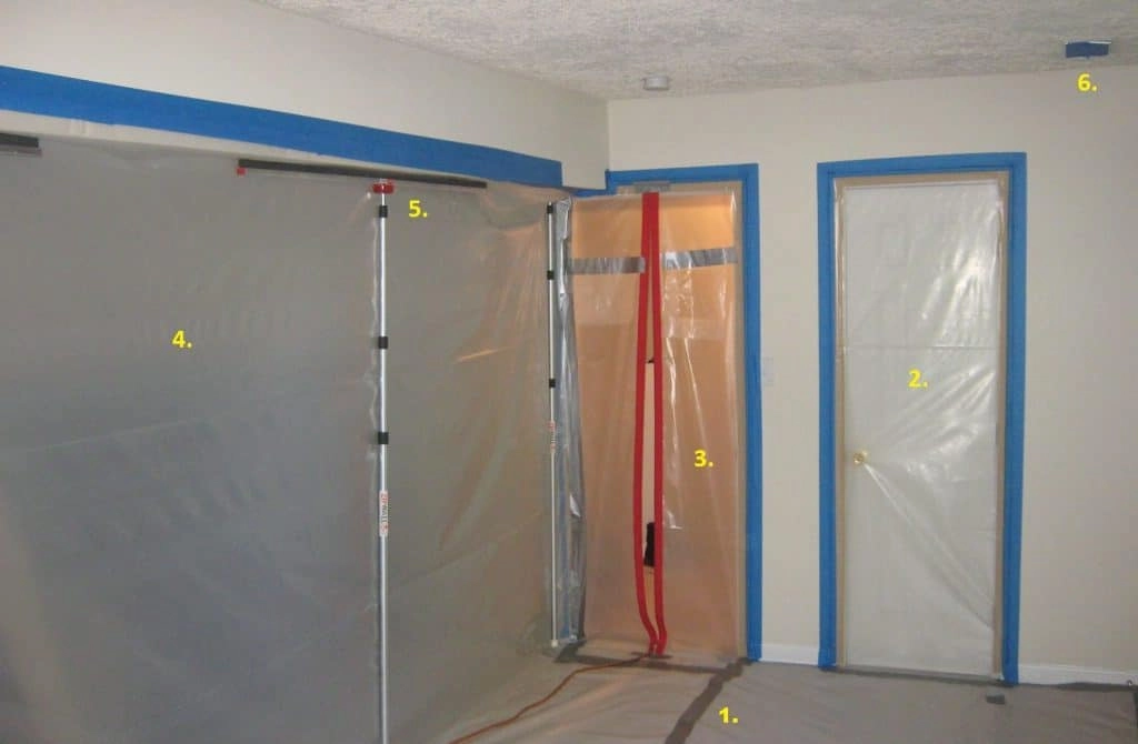 The Science of Mold Remediation in Ormond Beach, FL
