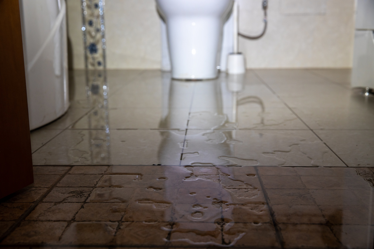 What Causes Sewage Backups in Homes?