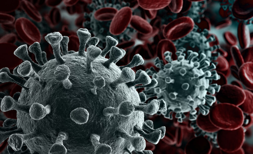 Microscopic view of viruses in the bloodstream.