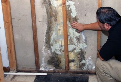 Expert Mold Removal Services in Bedford Park, IL