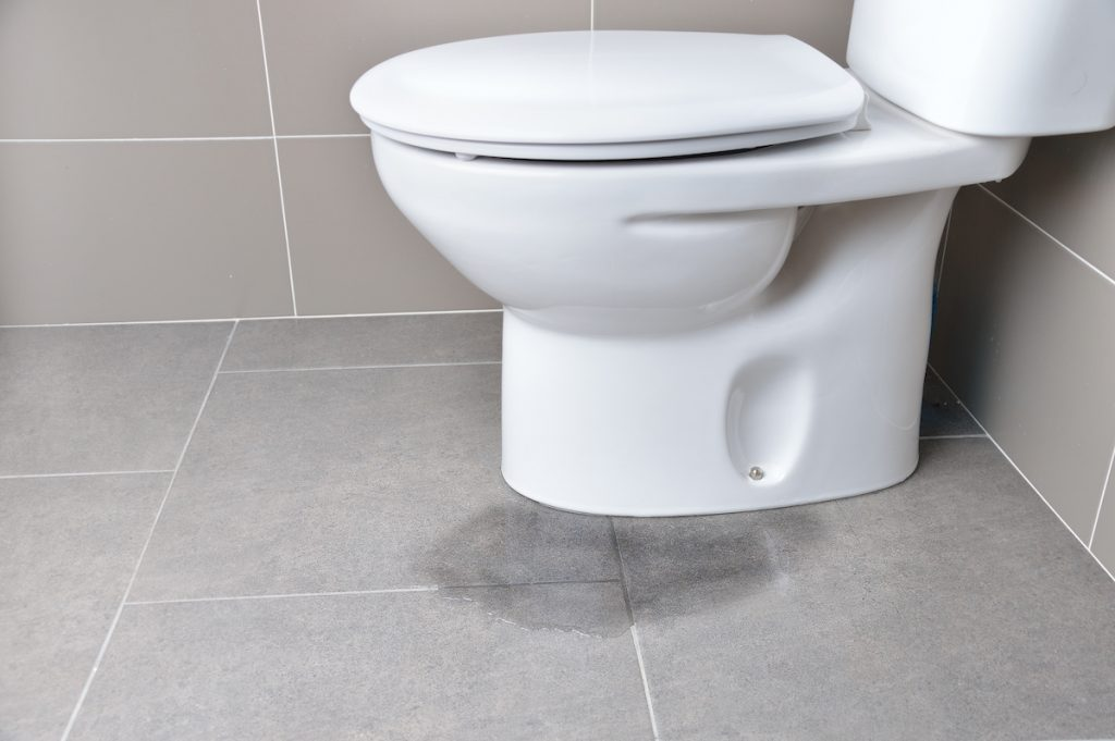 leaking toilet, which is a sign of a bathroom water leak