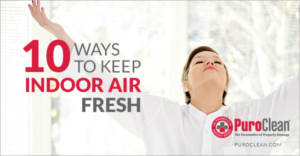 Picture Idea: Breathe Easy Improve Indoor Air Quality In 10 Ways