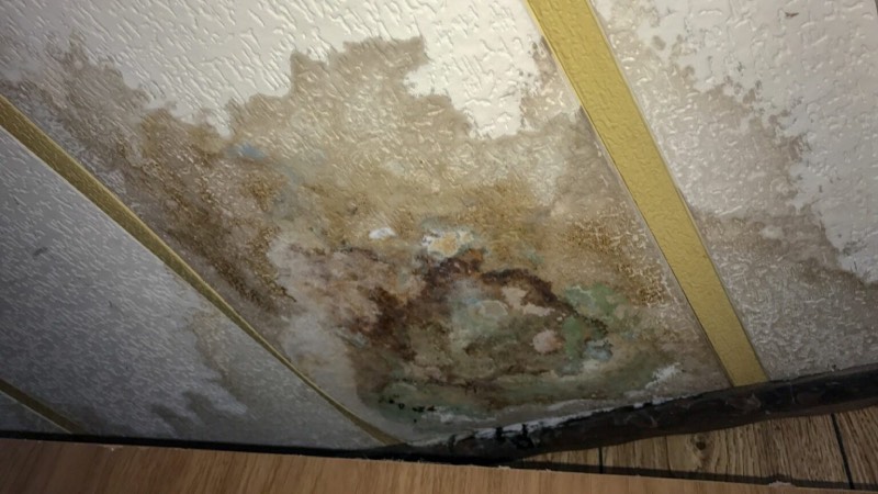 mold restoration