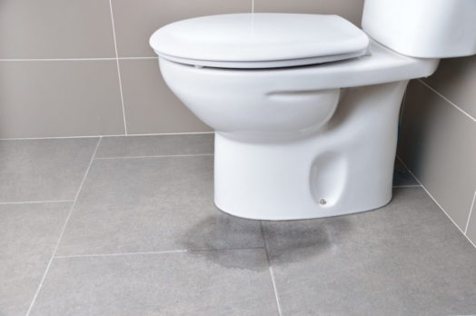toilet leak