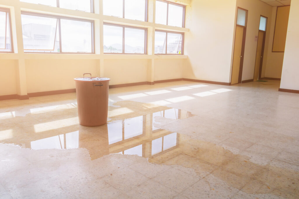 Emergency Water Damage Clean Up in Bellflower