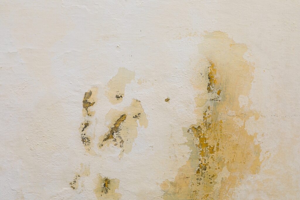 What Does Water Damage Look Like?