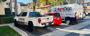 Need Water, Fire, Mold or Biohazard Cleanup?