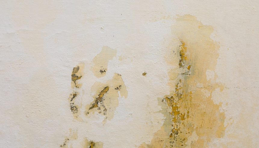 What Does Water Damage Look Like?