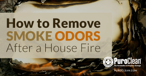 Smoke odor removal