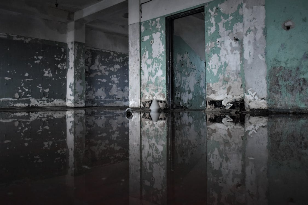 Estimated Cost Breakdown of Water Damage Restoration In Miami