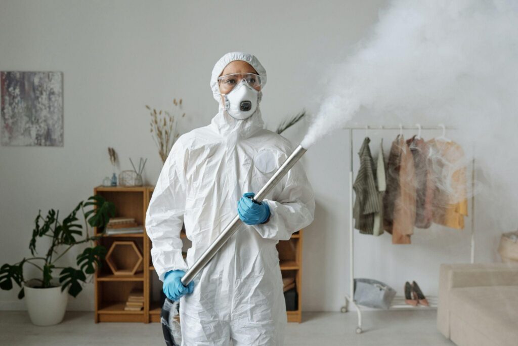 mold remediation companies