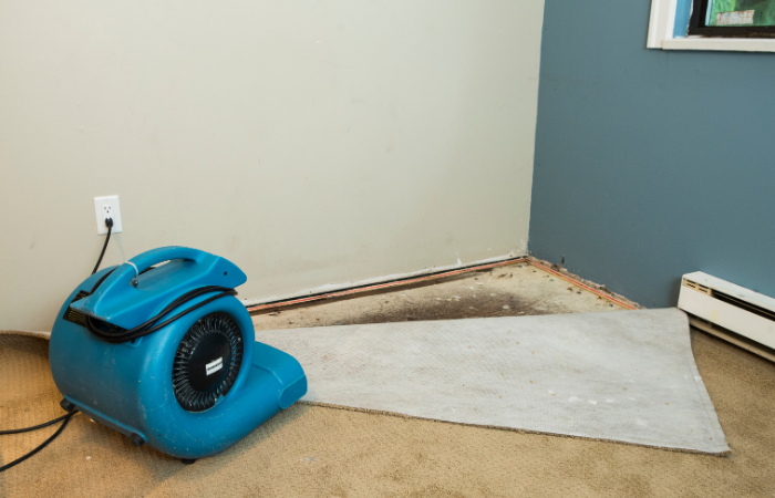 Removing Excess Water and Drying Affected Areas