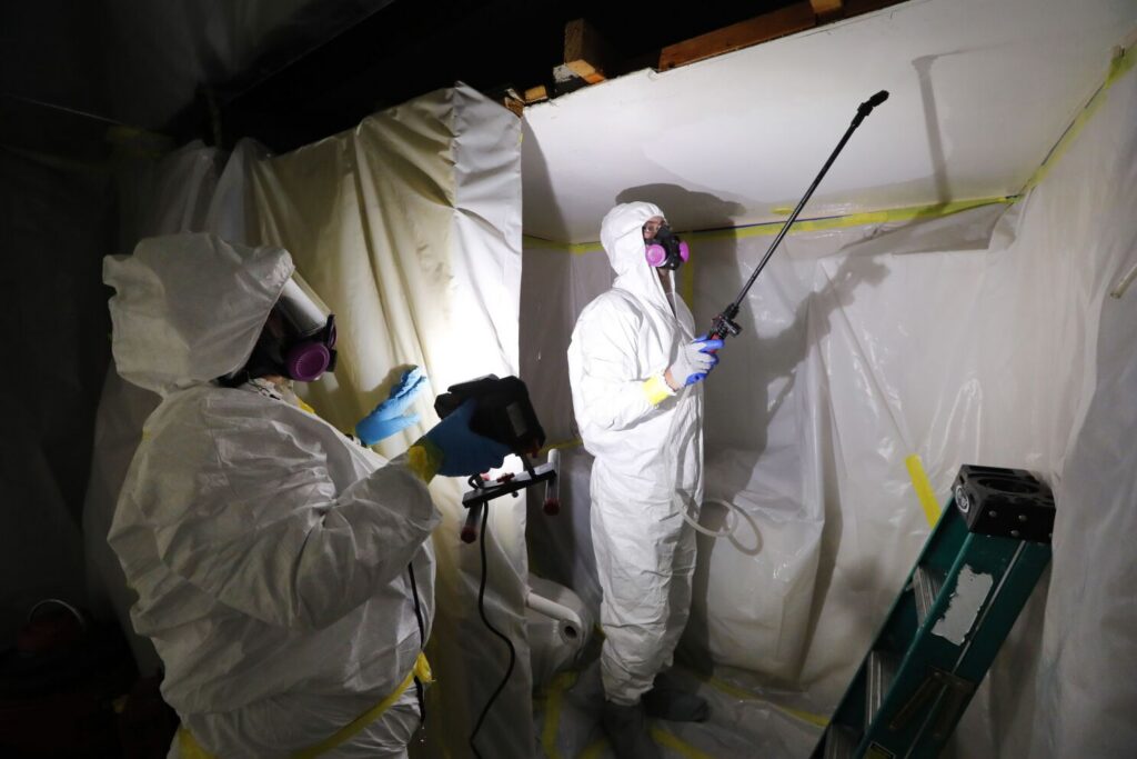 Mold repair damage