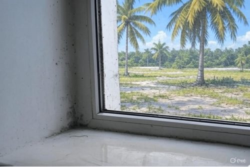 Professional mold remediation process in Fort Lauderdale home.