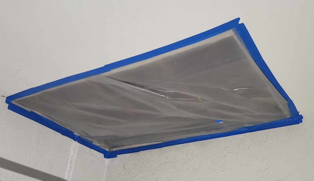 best ceiling mold removal services