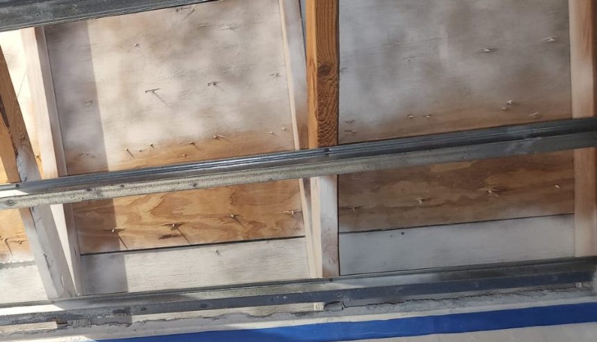 ceiling mold removal