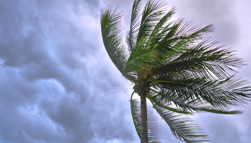 storm damage specialists