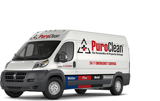 Mold Remediation Company Car