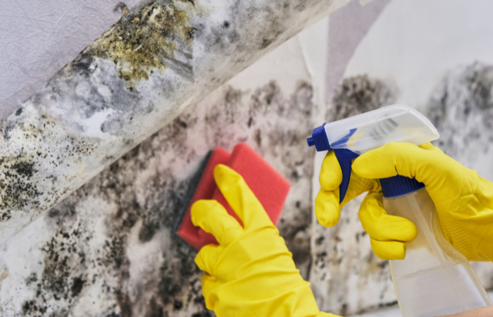 Mold repair damage