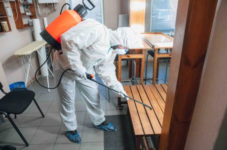 Effective Mold Removal Strategies for a Mold-Free Home in Pembroke Pines