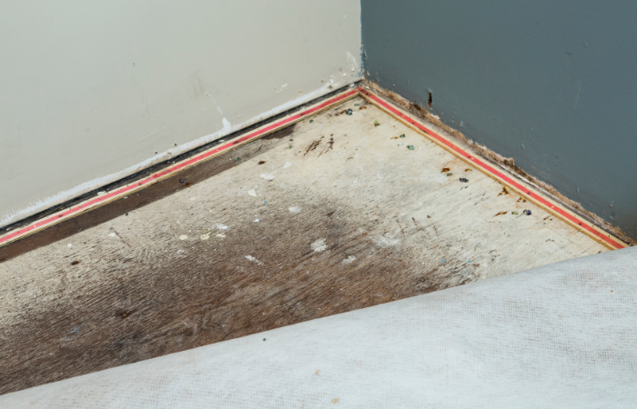 How to Deal with Water Damage Mold after a Flood